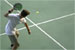 Paddle Tennis