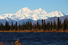 Denali National Park
